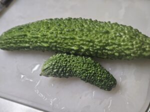 家庭菜園ゴーヤ