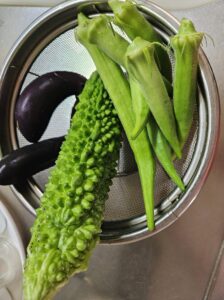 家庭菜園で採れたオクラ、ゴーヤ、茄子