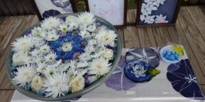 足利フラワーパーク花手水