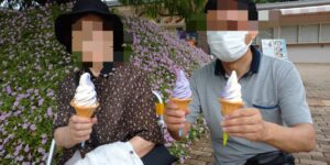 足利フラワーパーク藤とバニラのミックスソフトクリーム